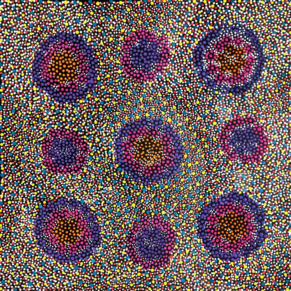 Small Aboriginal Artwork Painting SP9414 by Susan Hunter Petyarre